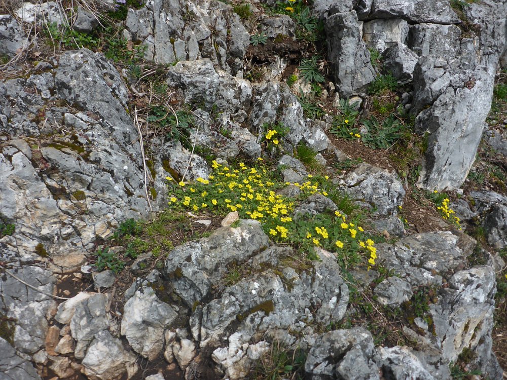 P1080247.JPG - Kurze Rast nach dem Einstieg