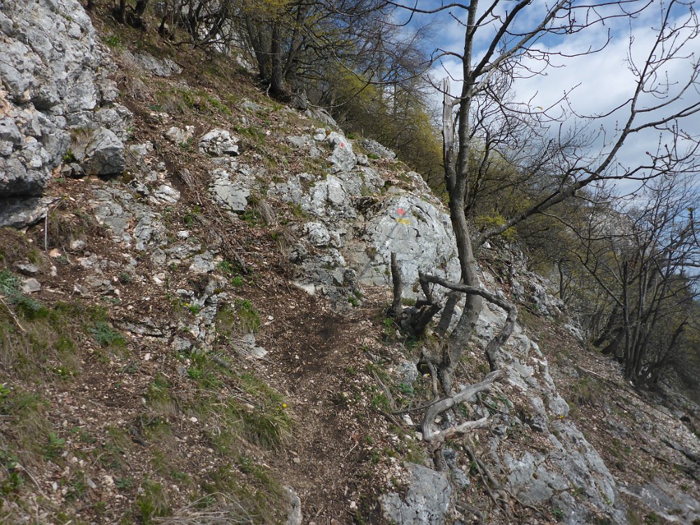 P1080254.JPG - Die Krumme Ries ist  meiner Meinung nach einer der schönsten Aufstiege auf die Hohe Wand.