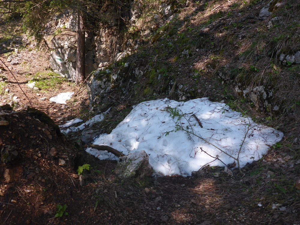 P1080347.JPG - Schnee!