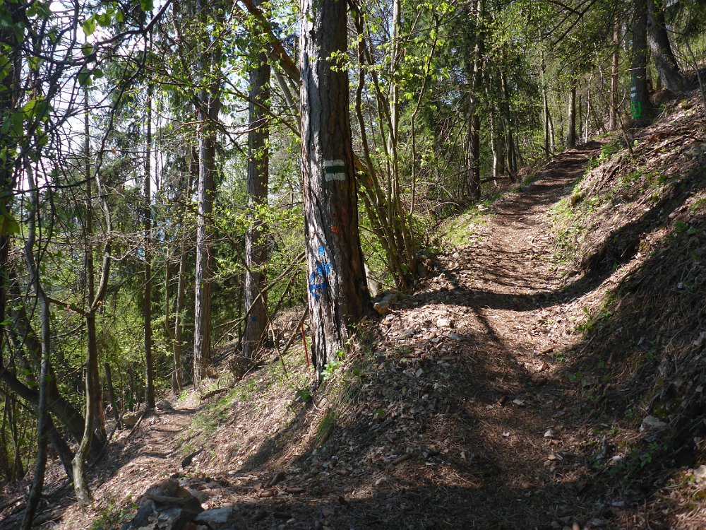 P1080348.JPG - Da jetzt links weiter. Rechts ginge es zum Straßenbahnerweg, da werde ich herunterkommen.