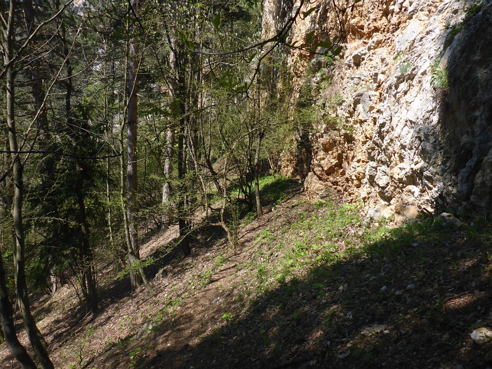 P1080349.JPG - Am Wandfußsteig