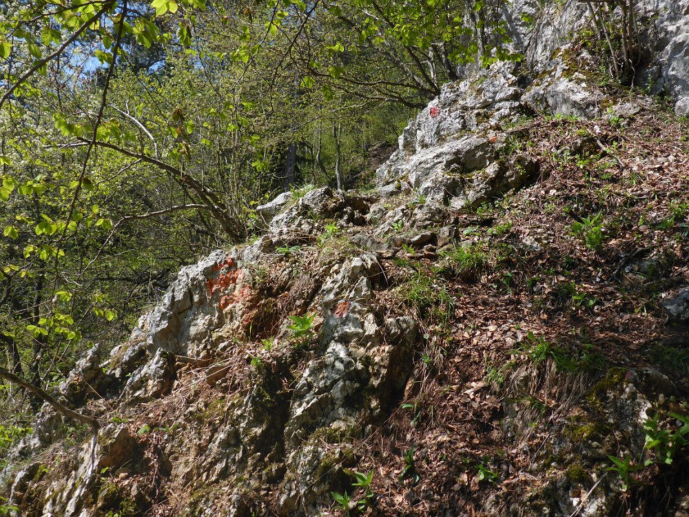 P1080352.JPG - Aber jetzt geht es los. Rauf auf den Promenandengrat!