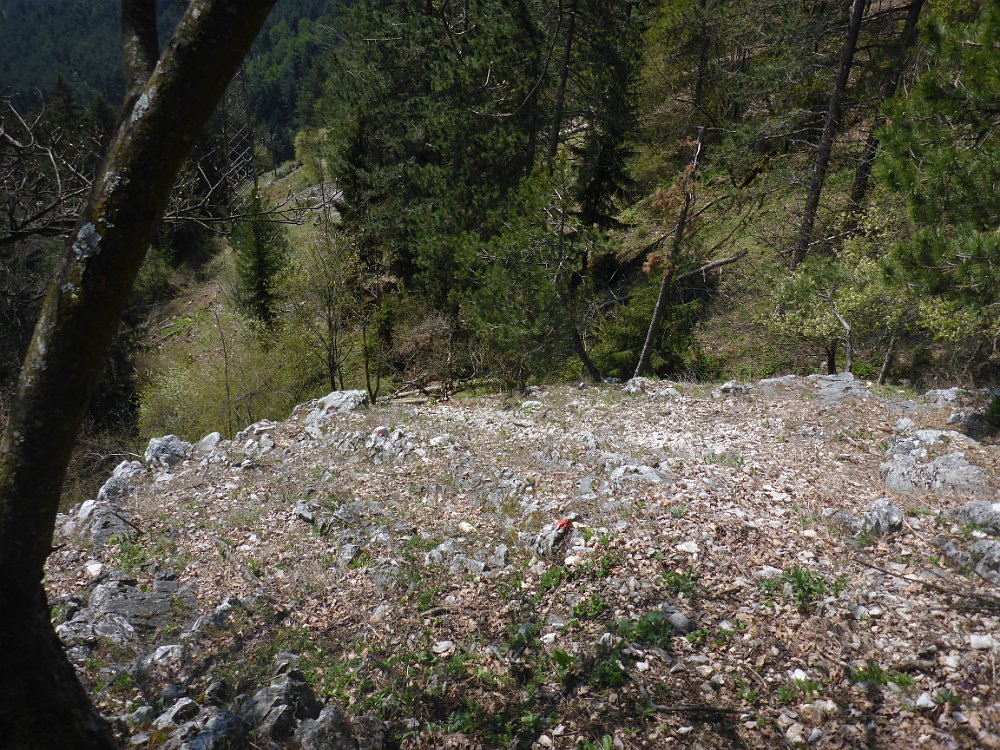 P1080357.JPG - Blick zurück. Es ist wie immer steiler.