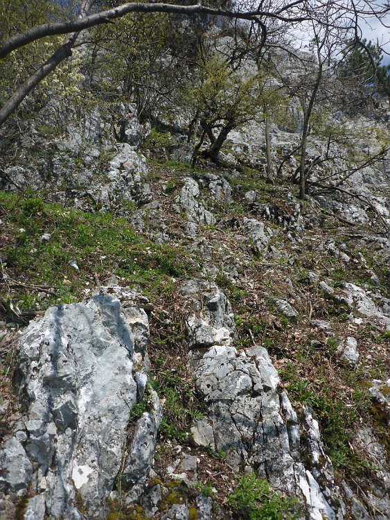 P1080361.JPG - Etwas rutschig ist der Untergrund, aber ich halte mich an den Felsen an.