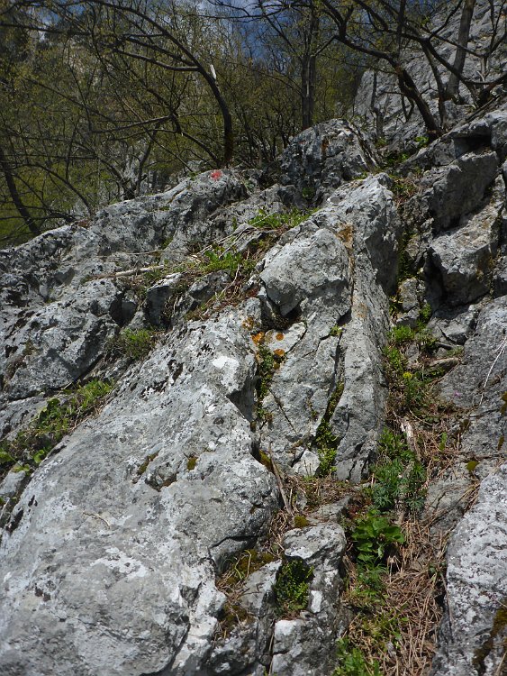 P1080367.JPG - Aber der Fels ist griffig und bietet immer wieder gute Stufen.