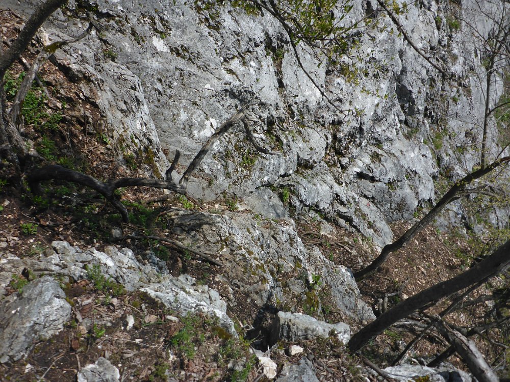 P1080374.JPG - Blick zurück