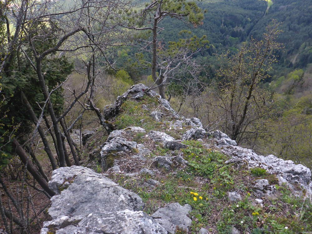 P1080395.JPG - Blick zurück. Über die Felsspitze kommt man herauf.