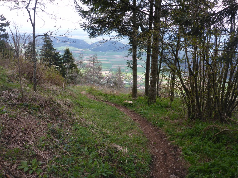 P1080399.JPG - Dann steige ich rasch den Straßenbahnerweg ab.