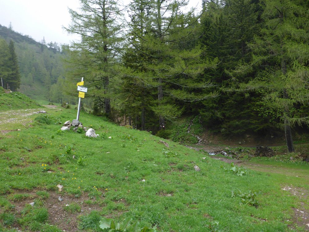 P1080404.JPG - Ich gehe den kurzen Weg durch den Wald. Da bin ich besser gegen den Wind geschützt.