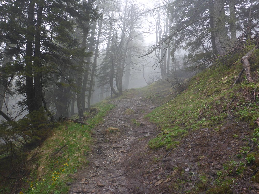 P1080412.JPG - An der Nebelgrenze