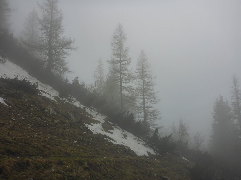 P1080414.JPG - Es liegt sogar noch ein wenig Schnee