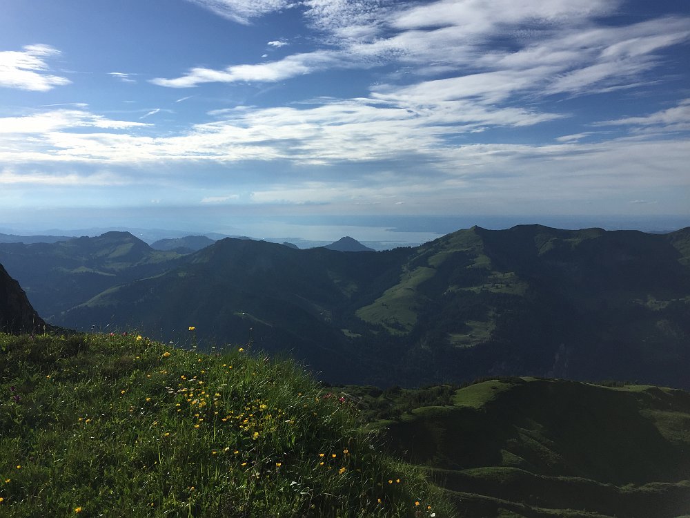 IMG_3604.JPG - Erster Blick auf den Bodensee