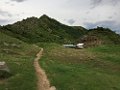 IMG_3684