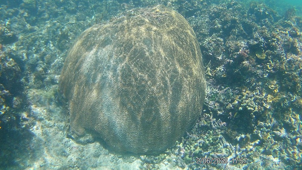 FHD0195.JPG