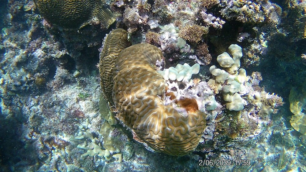 FHD0208.JPG