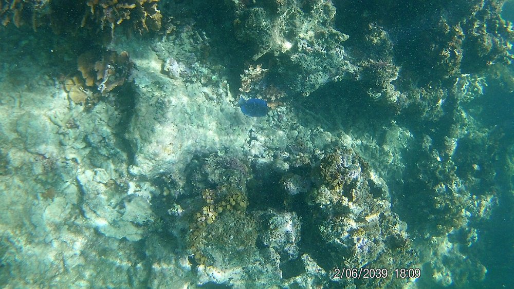 FHD0227.JPG