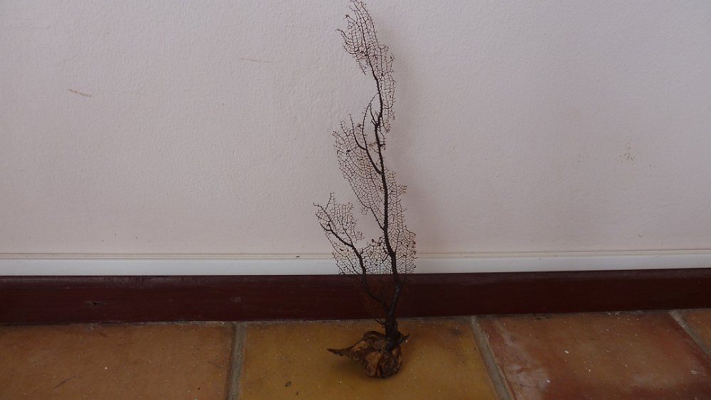 P1140714.JPG