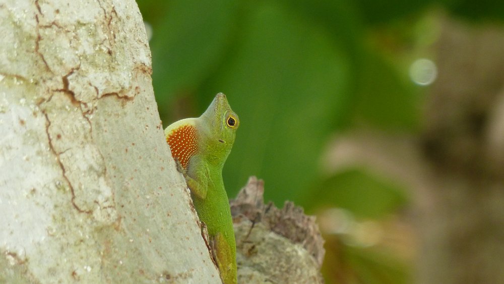 P1150180.JPG