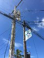 IMG_3979