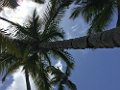 IMG_4189