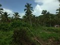 IMG_4205