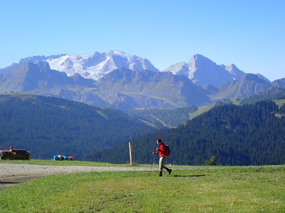 08300851.JPG - Es ist ein Traum hier heroben.