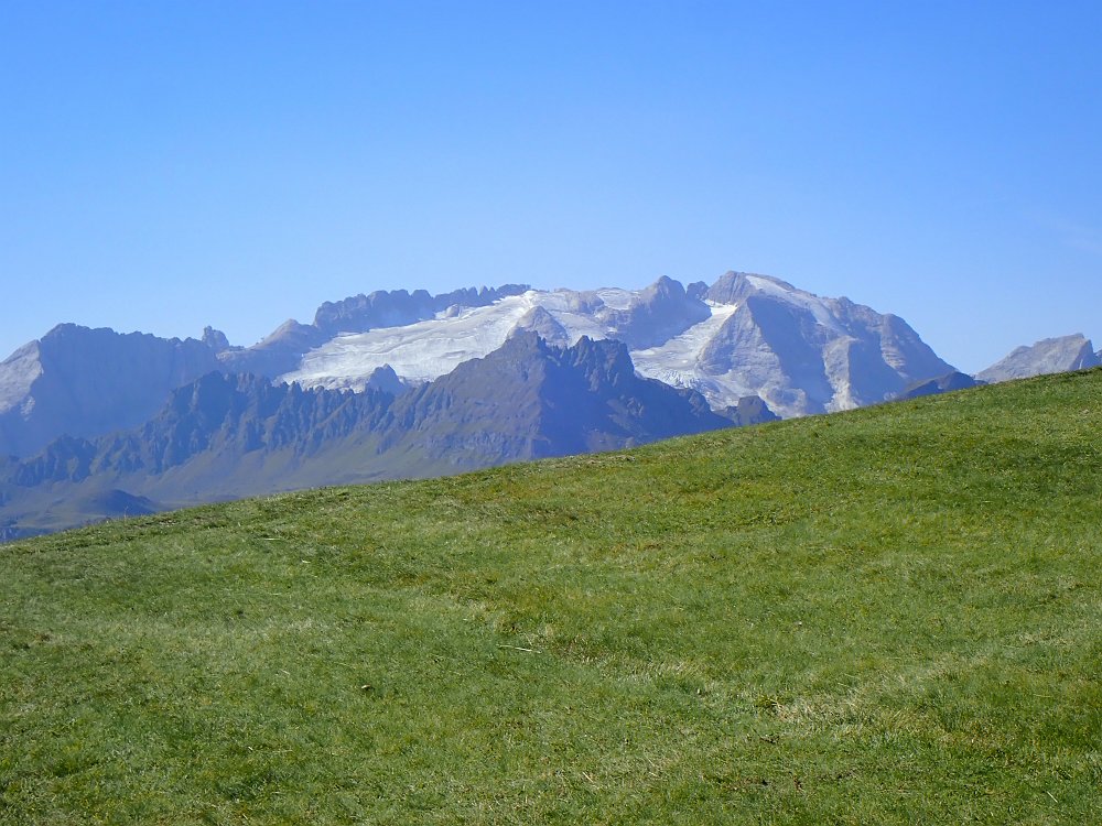 08300866.JPG - Immer wieder der Blick zur Marmolada.