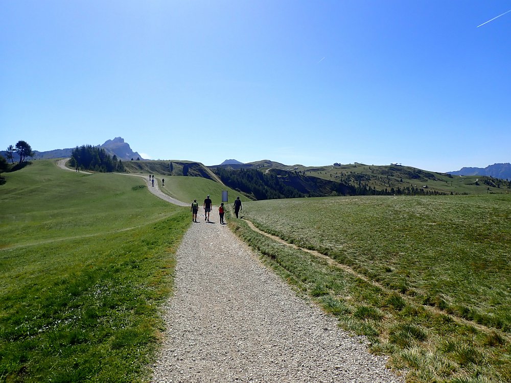 08300875.JPG - Jetzt wirds ein Spaziergang.