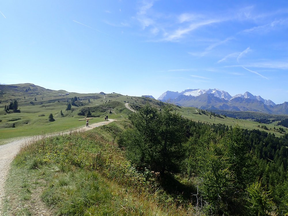 08300883.JPG - So hingegern, ist es einfach nur ein wundervoller Spaziergang. Naja. Wir haben uns zwei Tage zuvor durch den Rosengarten gekämpft, da darf es dann heute auch mal gemütlicher ausfallen.