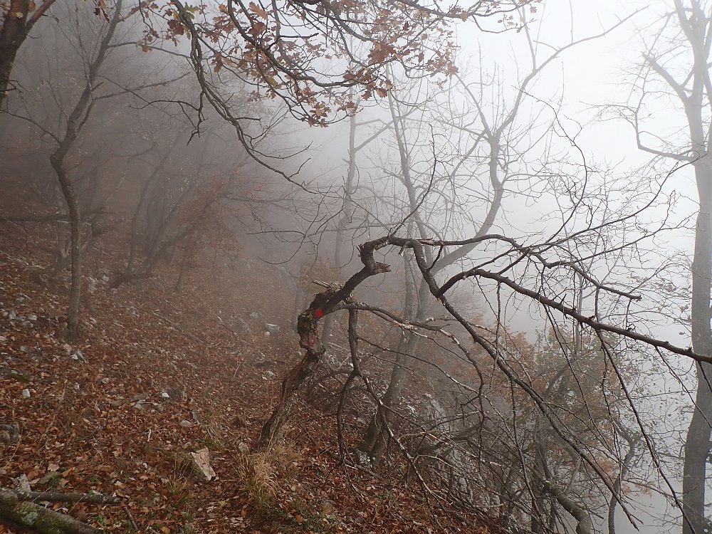 0B103214.JPG - Noch watschle ich durch den Nebel..