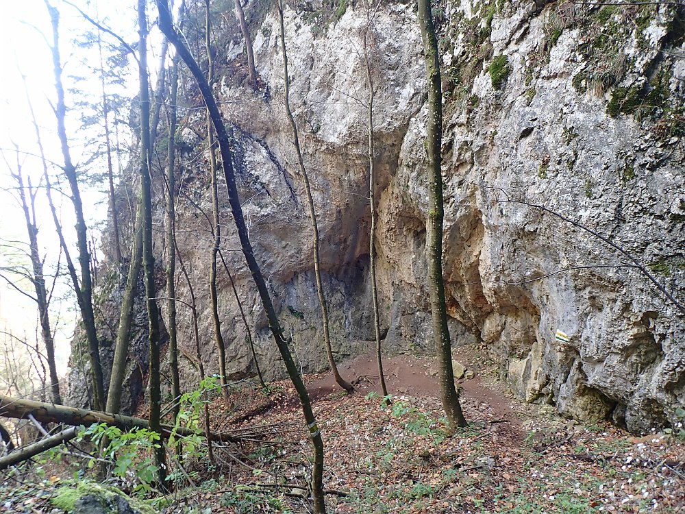 0B103233.JPG - ..gehts hurtig..