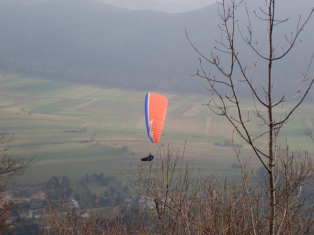 0B103245.JPG - Ein unentwegter Flieger, den es im November auch noch in die Lüfte zieht.
