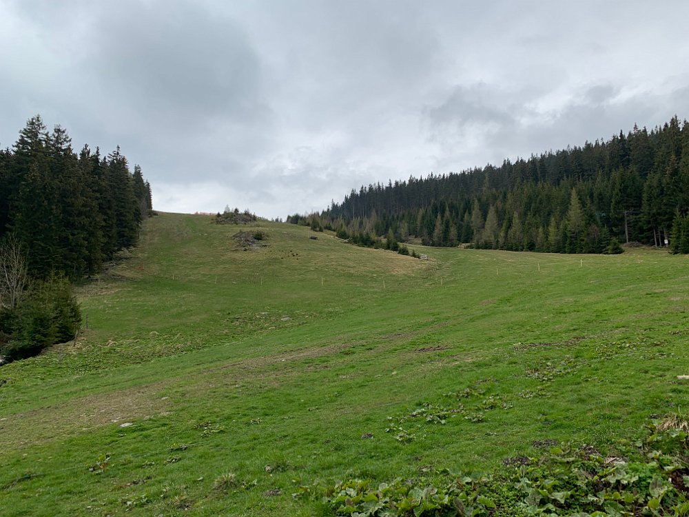 IMG_1791.jpg - Die Skipiste beim Arabichllift ist steiler als es aussieht.