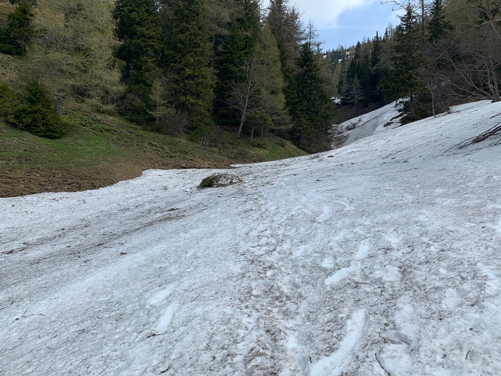 IMG_1978.jpg - Und die erstes Schneequerung heute. Die ist harmlos.