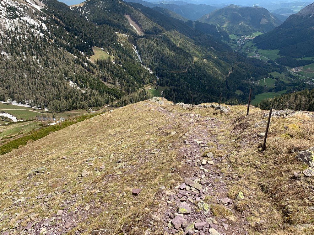 IMG_2059.jpg - Neben dem Zaun ist sogar ein kleiner Steig. So sehen gut markierte Wanderwege in den Wölzern aus ;-)