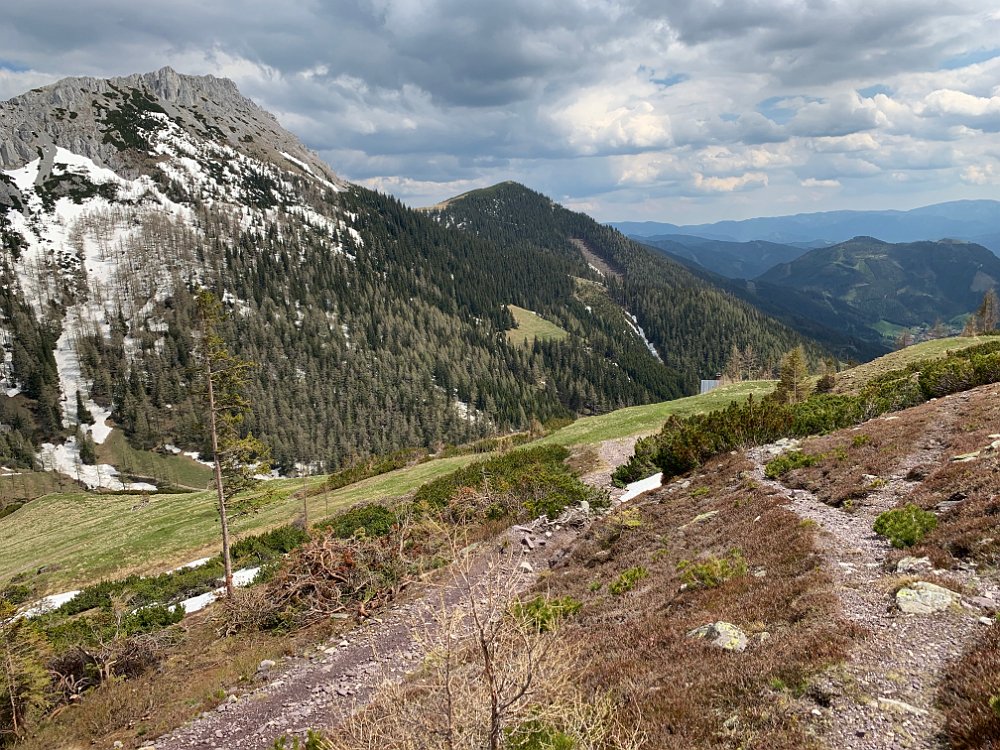 IMG_2065.jpg - Zurück am Weg, kehre ich noch kurz bei der Lebnerhütte ein.