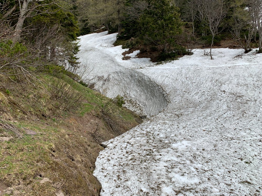 IMG_2069.jpg - Teilweise ist der Schnee noch recht hoch.