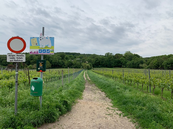 IMG_2105.jpg - Nach dem STart bei der HTL Mödling, geht es nach ein paar Metern in die Natur.