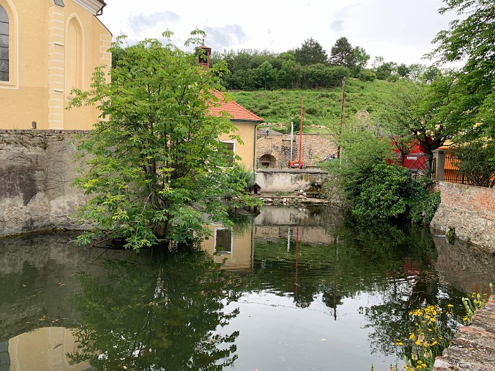 IMG_2160.jpg - ...Gumpoldskirchen.
