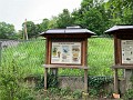IMG_2195