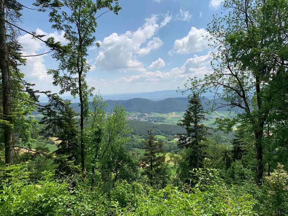 IMG_2266.jpg - Ausblick