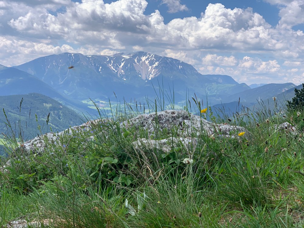 IMG_2325.jpg - Schließlich war heute Genußwandern angesagt.