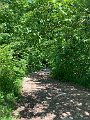 IMG_2349