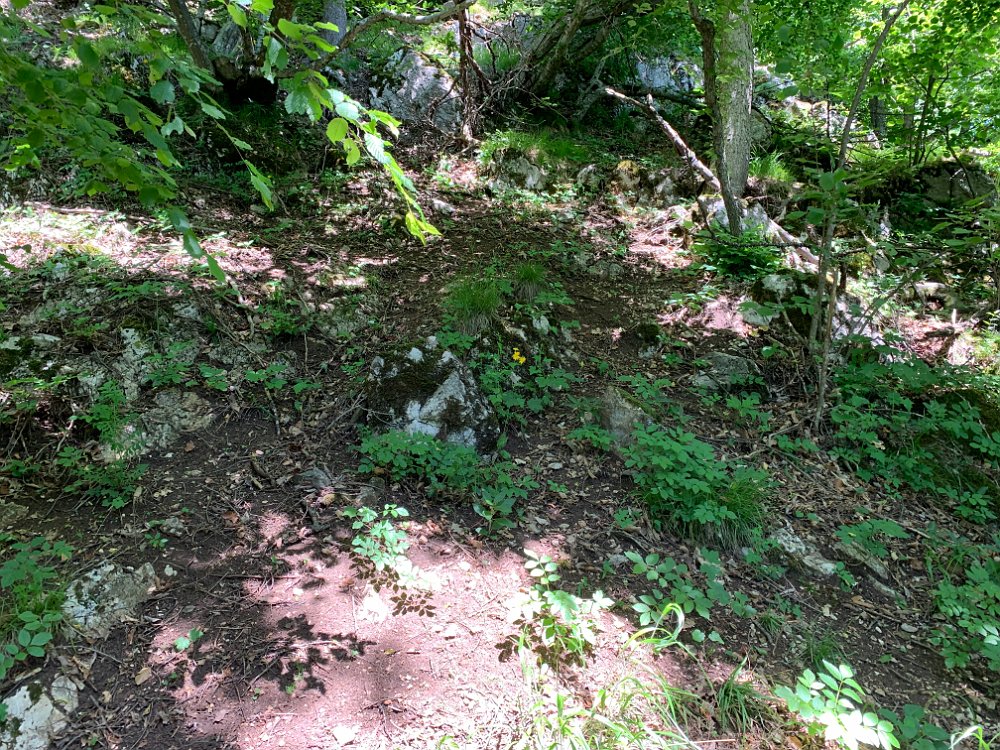 IMG_2411.jpg - Hm. Dieser Steilruachla ist mir nicht bekannt. Außerdem habe ich eine rote Markierung gesehen, das führt normalerweise zu einer Kletterroute.