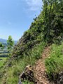 IMG_2428