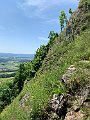 IMG_2432