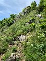 IMG_2435