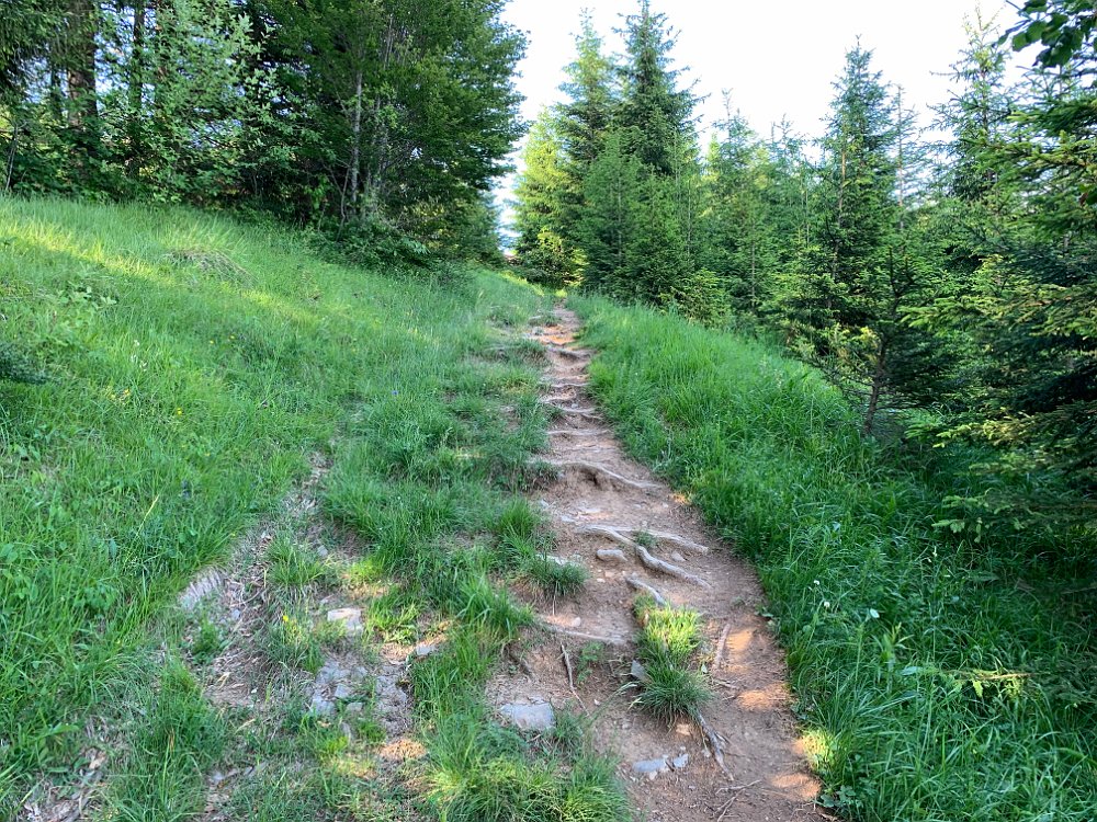 IMG_2525.jpg - Step by step..