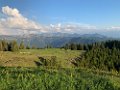 IMG_2558