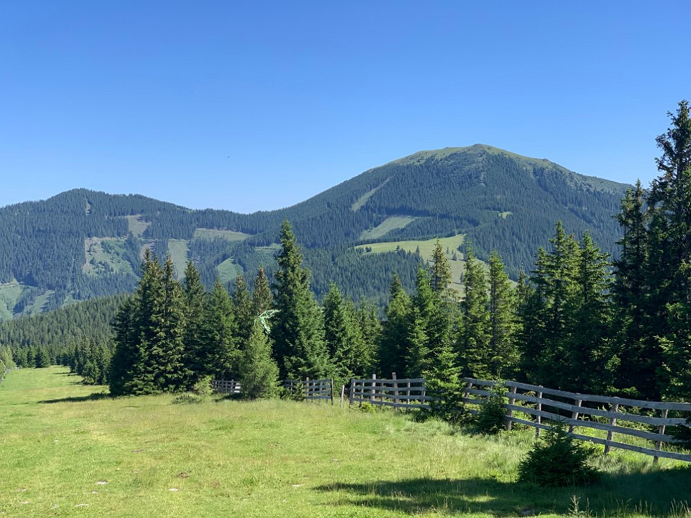 IMG_2653.jpg - Roppoldkogel. Es sind 38° im Osten Österreichs angesagt.